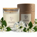 Opulence scented candle with wooden lid and brown cardboard packaging on a white background